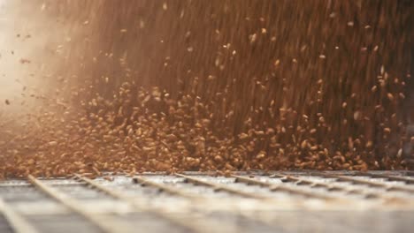 wheat flows into a gutter-grate after harvesting