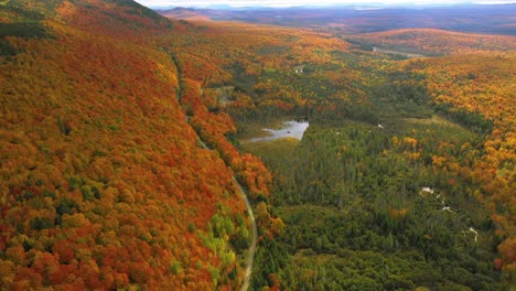 Imágenes-De-Drones-Bajando-Hacia-Un-Camino-De-Tierra-Que-Serpentea-A-Través-De-Un-Bosque-Dorado-De-Otoño-En-El-Norte-De-Maine