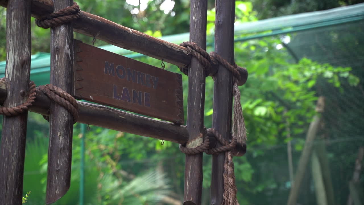 동물원의 원숭이 차선 표지판, 연속 근접 촬영