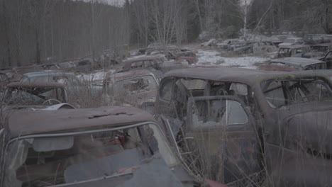 overview shot of bastnas car cemetery norway on a cloudy grey day with broken rusted cars all over the field with broken glass when nature is taking over log