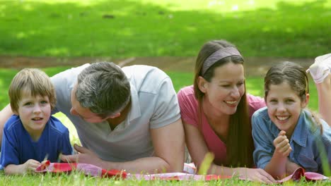 cute family lying on a blanket in the park