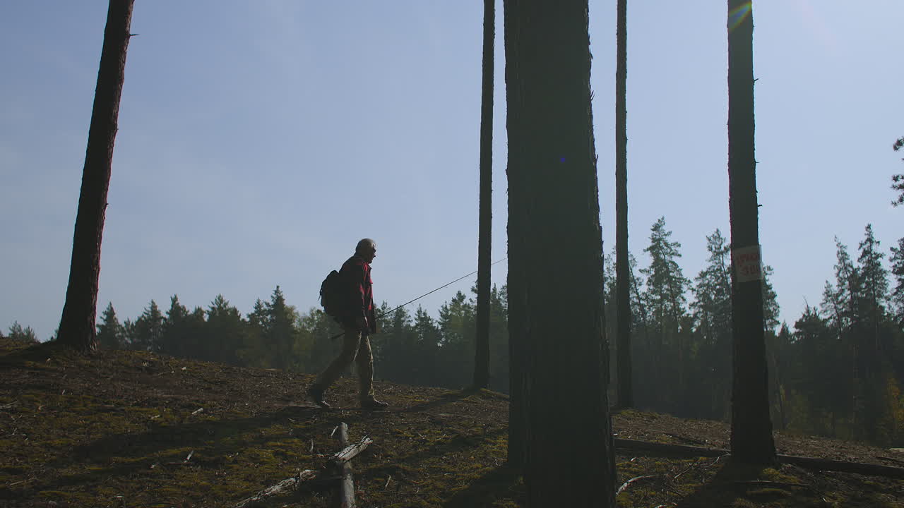 naturaleza tranquila y pintoresca en el bosque de otoño pescador está caminando entre los árboles siluetas contra el cielo