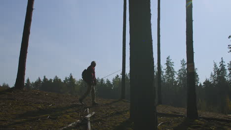 tranquil-and-picturesque-nature-in-autumn-forest-fisher-is-walking-between-trees-silhouetted-against-sky