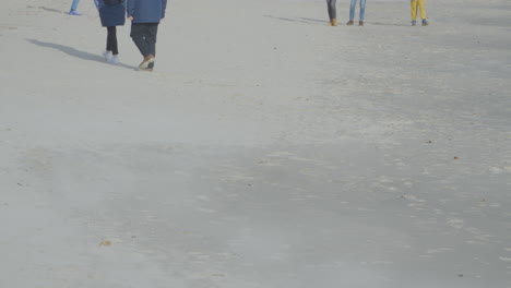 people strolling on the sandy seashore in summertime