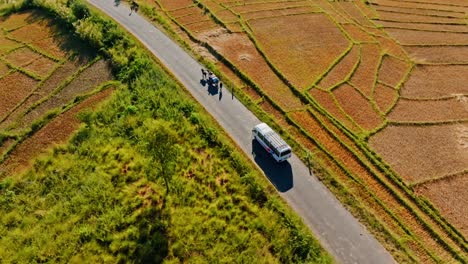 aerial view of a bus and traditional cart traveling on a road surrounded by patchwork farmland in madagascar. a scenic blend of agriculture and local transportation.
