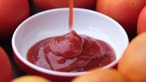 salsa de tomate en un cuenco rodeado de tomates