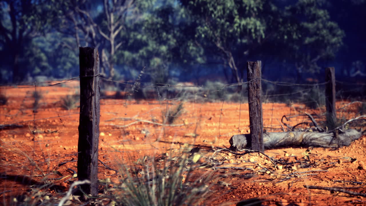 Rustic landscape features weathered fence posts in sunlit australian outback