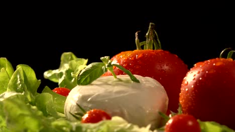 tomates y mozzarella en una hoja de lechuga giratoria, bucle