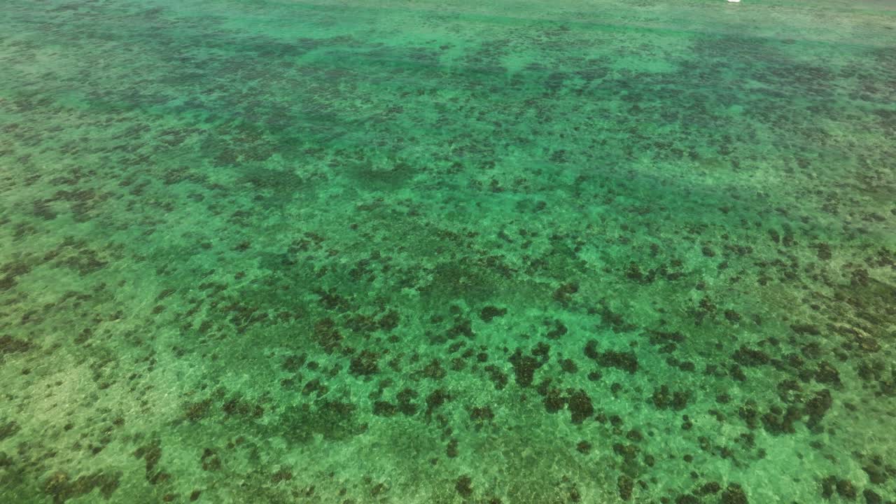 Matemwe beach, Topdown of vibrant green sea with coral patches in shallow coastal waters off Zanzibar island, coral reef heads dazzle under green sea