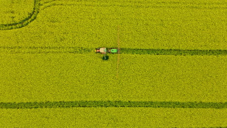 Tractor-Spraying-Insecticides-On-Rapeseed-Flowers-Growing-In-The-Countryside-Field-At-Daytime-In-Spring