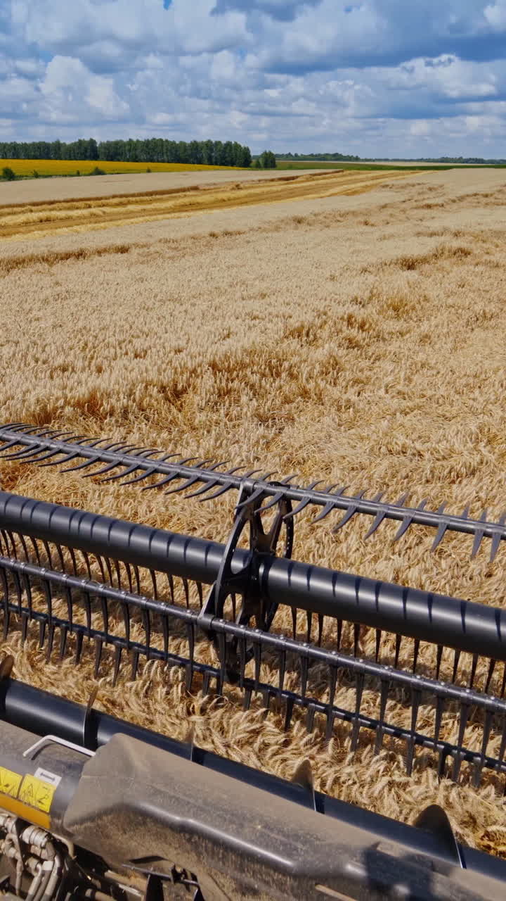 Combine harvester works on a beautiful landscape of nature. Metal part of agricultural machine on the field during seasonal works. Vertical video