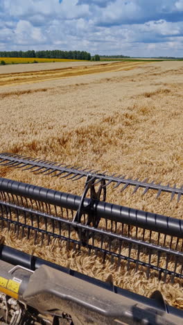 combine harvester works on a beautiful landscape of nature. metal part of agricultural machine on the field during seasonal works. vertical video