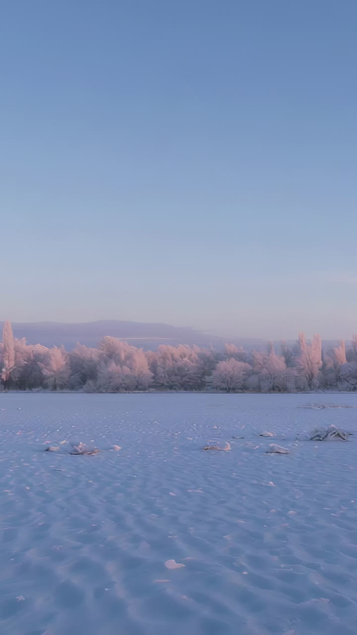 Vertical video: Showing snowfield and frosted treeline glowing from sunrise light at rural edge