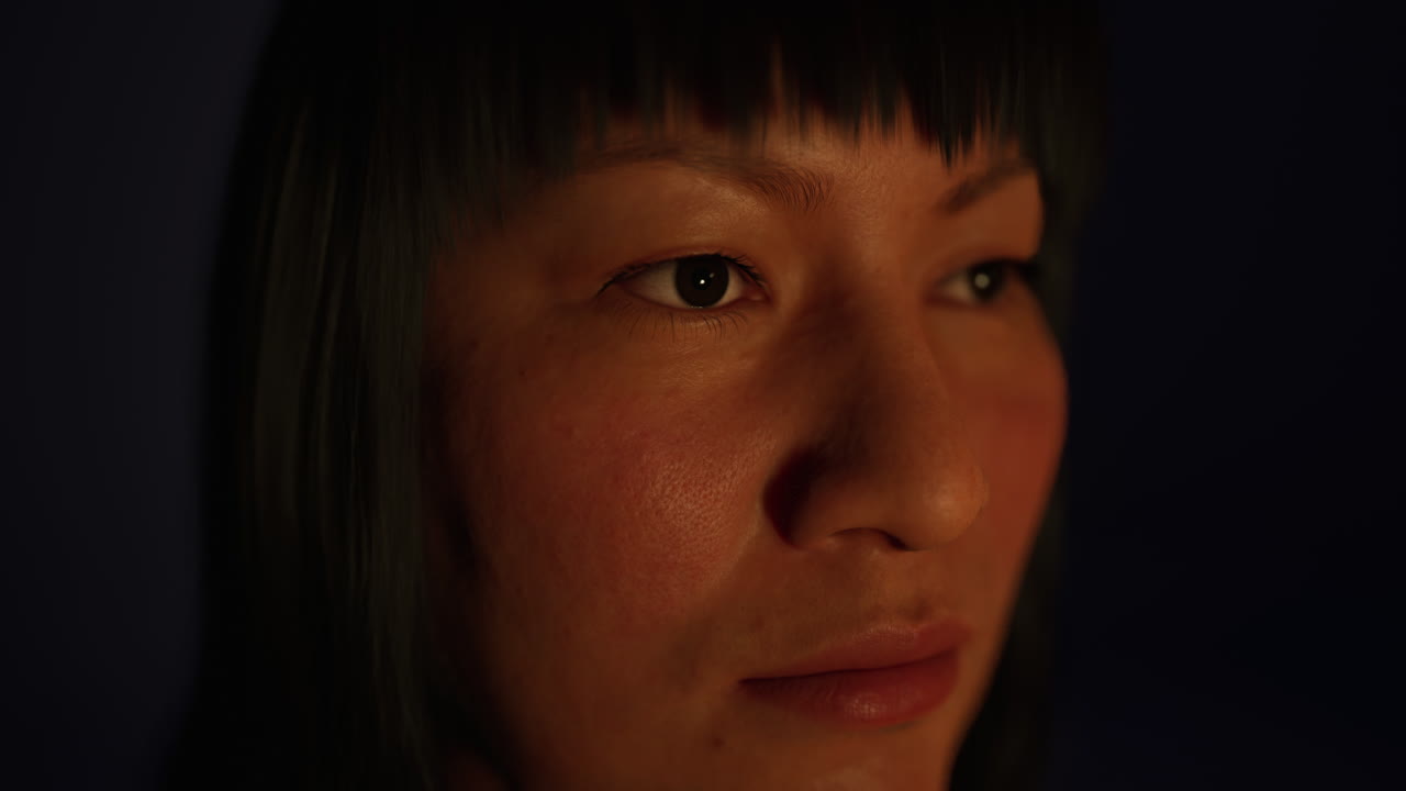 어 ⁇  속의 성인 멕시코 여성 초상화