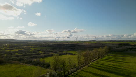 Idyllic-landscape-with-green-agricultural-fields,-trees-and-wind-turbine-farm-in-background-during-sunny-day-in-Poland