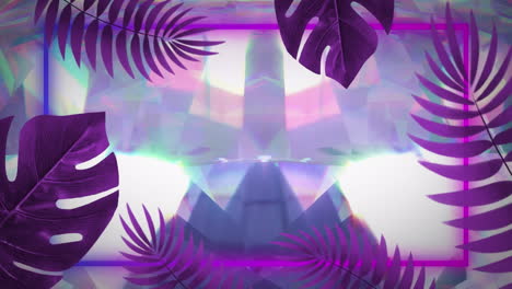 animation of purple leaves and neon frame over glowing crystals