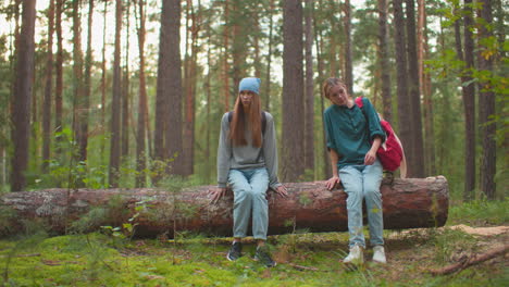 two women wearing jeans and sneakers approach a large fallen tree in lush forest, preparing to sit together, sunlight filters through tall pines, casting warm glow across vibrant green foliage