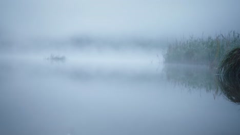 small lake pond cloudy morning foggy