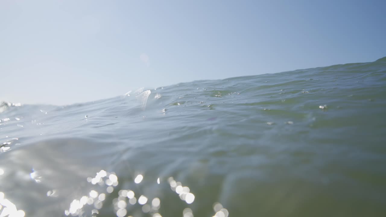 바다 의 절반 의 수중 촬영