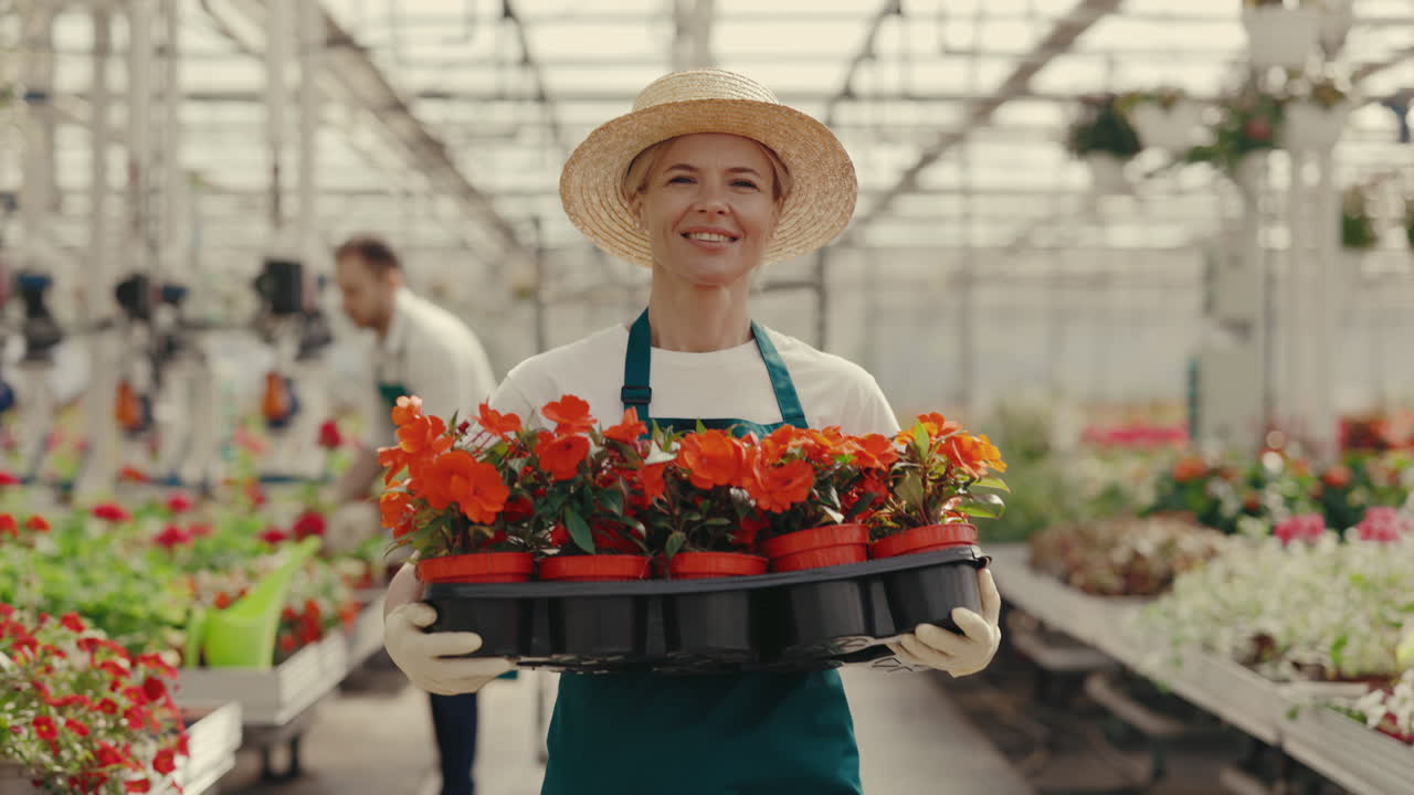 Giardiniera sorridente che trasporta fiori in vaso in una serra