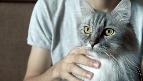 man caressing his cat