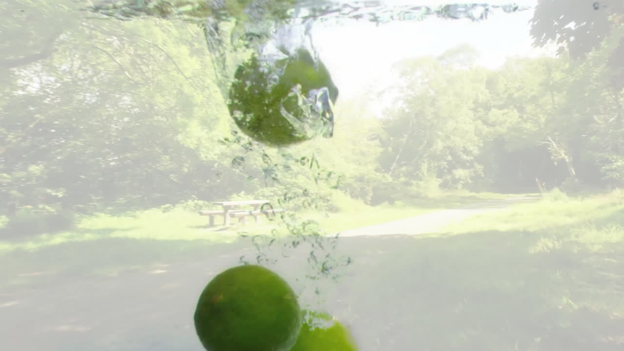 Limes splashing into water with park animation in school background