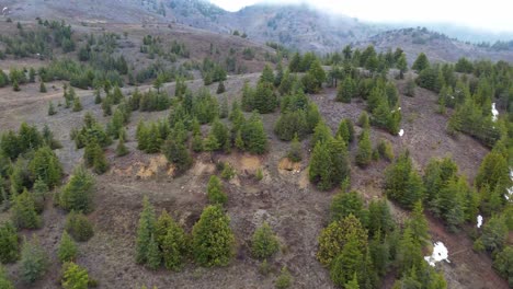 vista de la selva, el avión no tripulado vuela sobre un paisaje de densas montañas cubiertas de bosques verdes, vista aérea de exuberantes montañas de bosque verde, vista de la jungla
