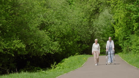 elderly women walking in a park