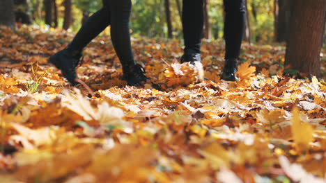 girlfriend and boyfriend boots taking a romantic walk on the fallen leaves