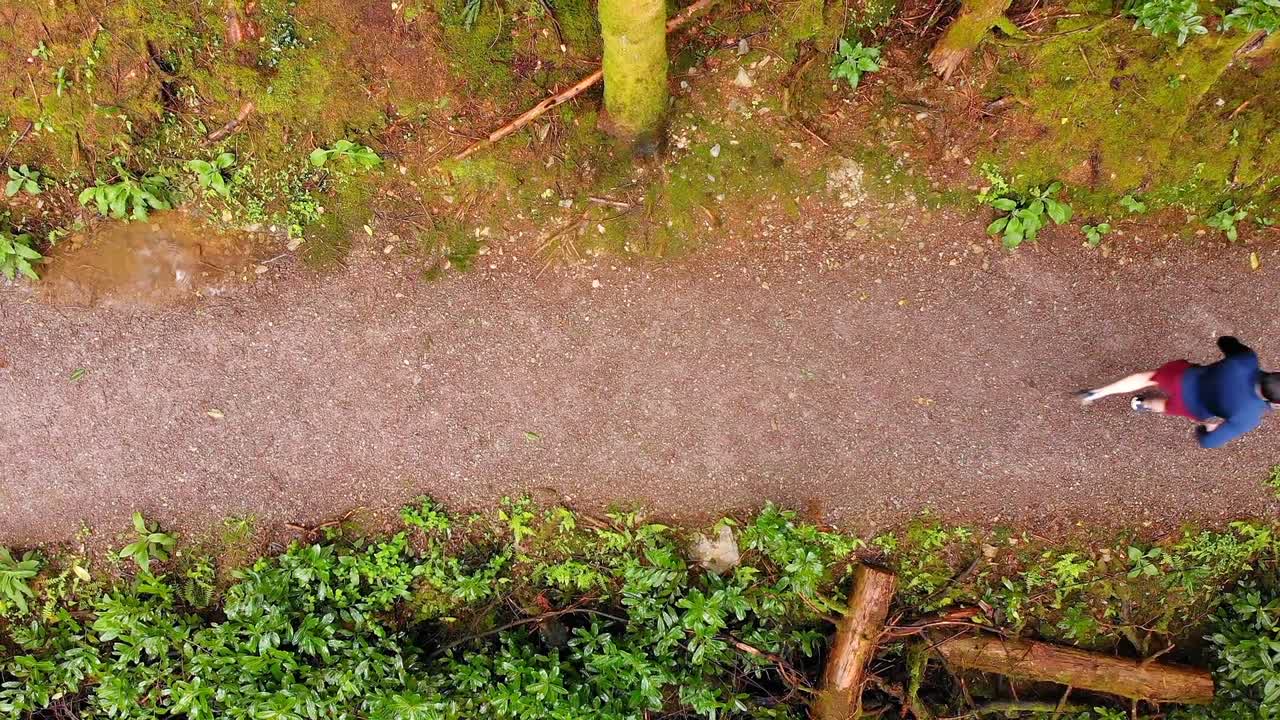 hombre corriendo por un sendero en el bosque 4k