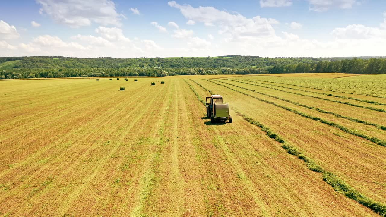 Back view of a tractor collecting hay on the field. Agricultural tractor is gathering dry grass in the countryside in summer.