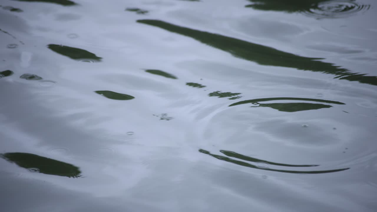 물속의 방울의 느린 움직임 연못의 비가 오는 날 클로즈업