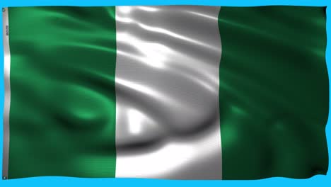 the flag of nigeria