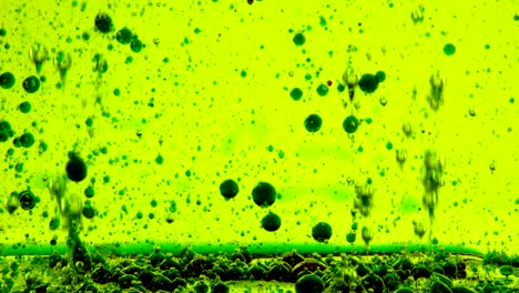 water oil bubbles  behind glass background