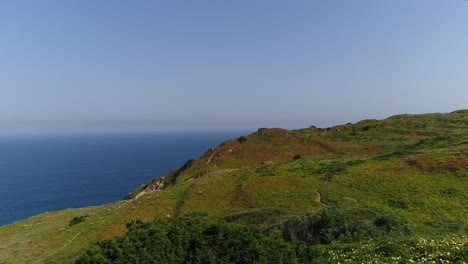Cliffs-and-vegetation-along-the-stony-shoreline