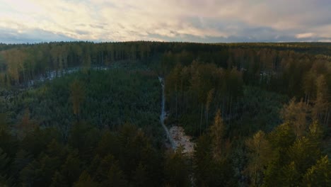 Luftlandschaftsaufnahme-Während-Des-Sonnenuntergangs-Eines-Kiefernwaldes-An-Einem-Bewölkten-Tag-Mit-Rosa-Himmel-In-Der-Tschechischen-Republik