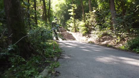 walk into abandoned concrete stairs in forest with trolley tracks in city park