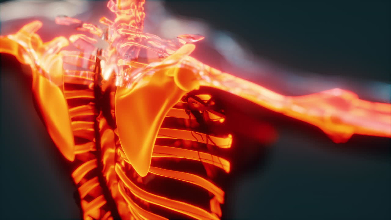 концепция человеческих суставов с скелетной анатомией тела