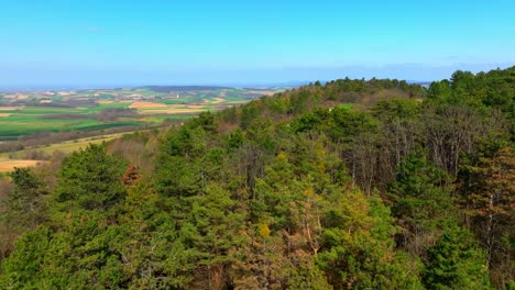 hilly landscape with lush forest trees in spring - aerial drone shot