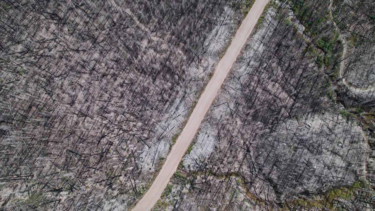 vuelo aéreo a lo largo de un camino de tierra rodeado de
