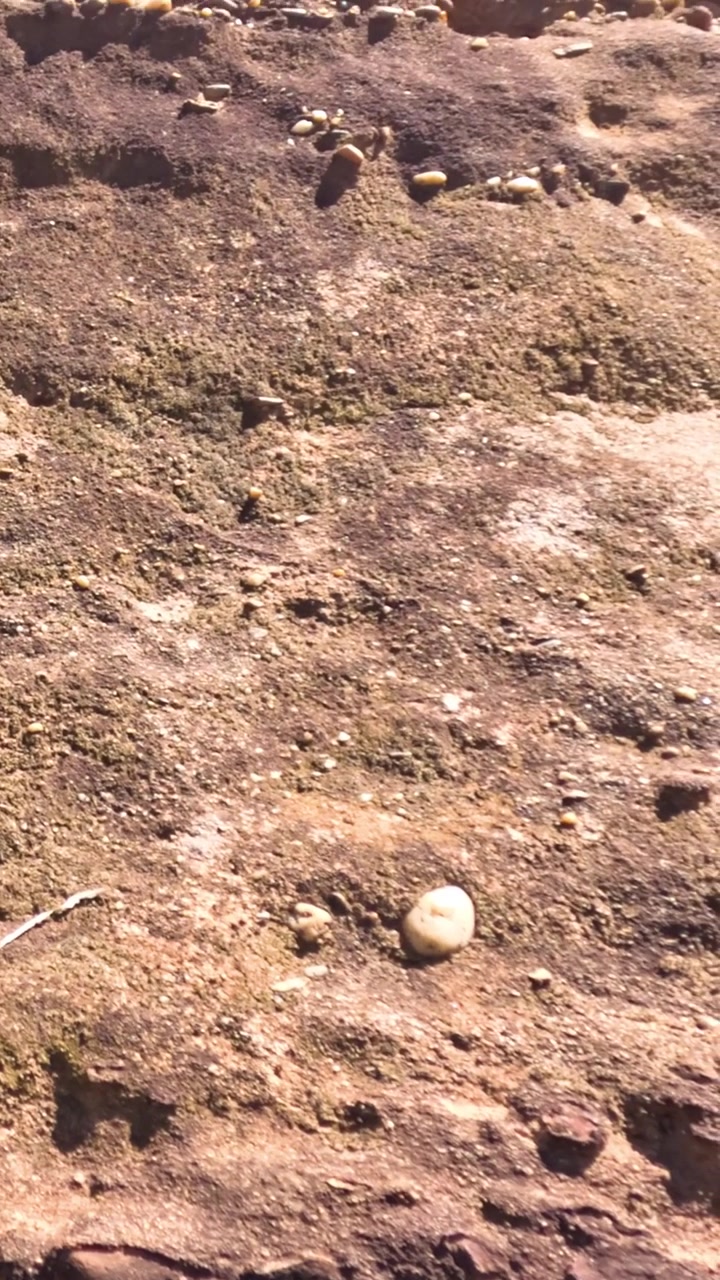 Cambiamento progressivo del terreno desertico alla luce del sole