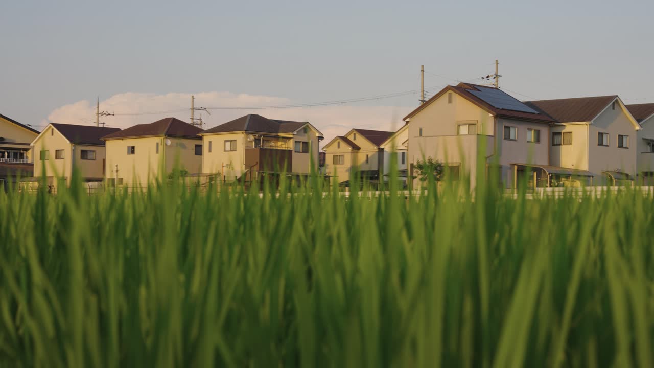 따뜻하고 평화로운 시골 동네, 논과 집을 가로지르는 팬