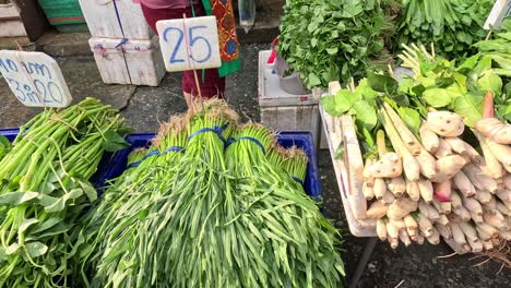 vendor arranging vegetables at a busy market