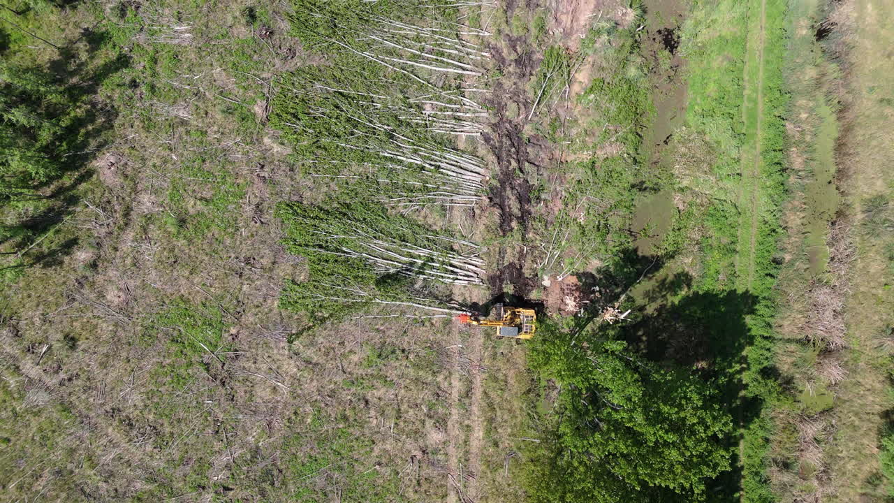 Harvester machine clearing trees in a deforested area, aerial top down overview as it lays cut trees and organizes into piles, environmental impact