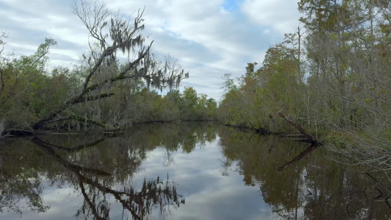 imágenes cinematográficas en 4k de pantanos fuera de nueva orleans, en luisiana, ee.uu.