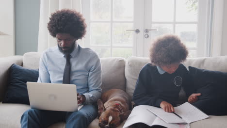 close up of pet dog sleeping on a sofa between father working on laptop and his son doing homework, front view, three quarter length