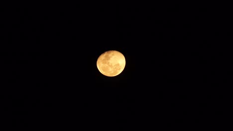red harvest moon 2023