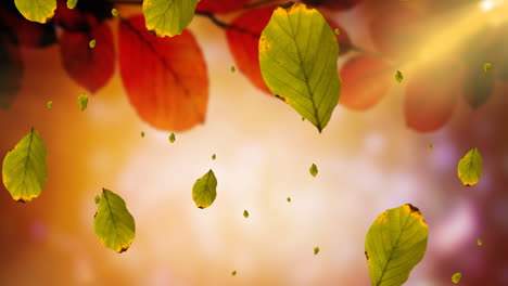 animación de hojas que caen sobre el paisaje de otoño