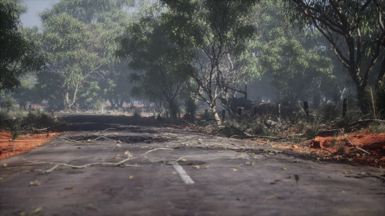 세네갈 시골 을 가로지르는 아스팔트 시골 도로