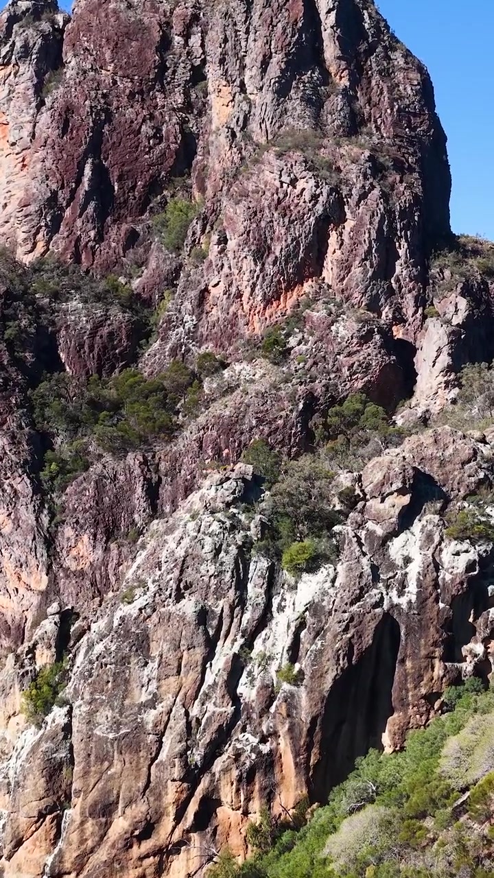 Un'aquila cuneata scivola oltre la formazione rocciosa vulcanica conosciuta come The Breadknife, Australia.